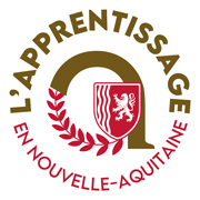 Apprenticeship icon